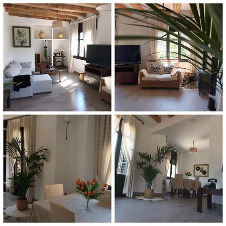 Un Tros De Sal. Casa Rural A Gerri De La Sal. Gerri de la Sal Exterior foto